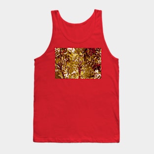 Apricot Tree in Fall Tank Top